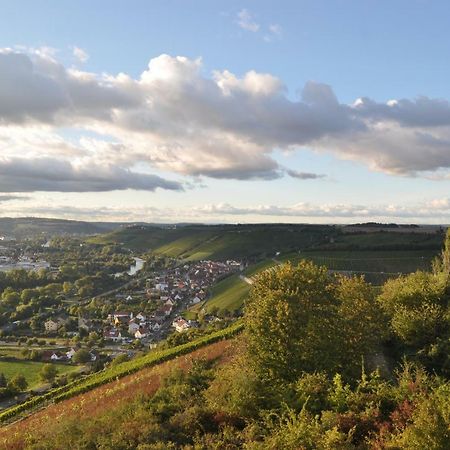 Ferienwohnung, Weingut Trockene Schmitts Рандерсаккер Экстерьер фото