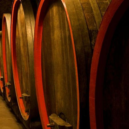 Ferienwohnung, Weingut Trockene Schmitts Рандерсаккер Экстерьер фото